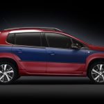 Peugeot 2008 Castagna