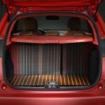 Peugeot 2008 Castagna