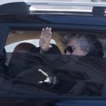 grillo-sulla-kia-carnival