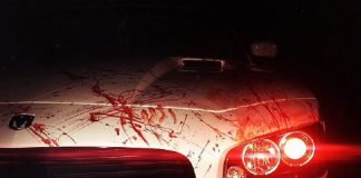 Halloween's car