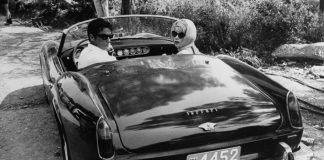 alain delon car