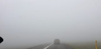 nebbia