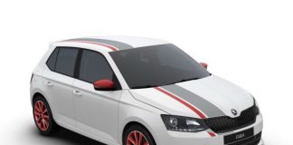 Skoda Fabia Red&Grey Plus