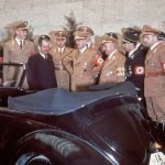 Beetle Hitler