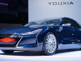Copia cinese Tesla S