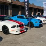 Mustang Club of Italy 2015