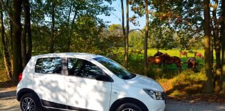 Suzuki Celerio Country