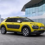 C4 Cactus 1