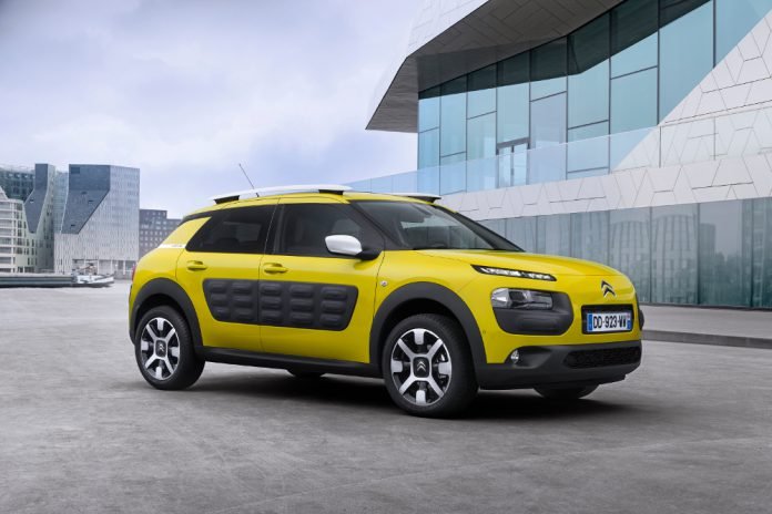 C4 Cactus 1