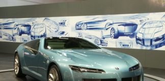 bertone birusa