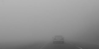 guida con nebbia