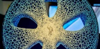 michelin vision