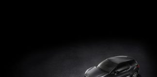 DS3 Black Lezard 2018