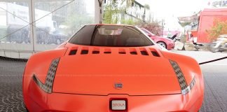 StolaS81