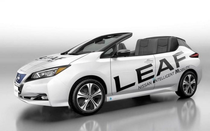 Nissan Leaf Open Car