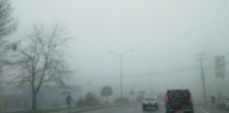 guidare con la nebbia