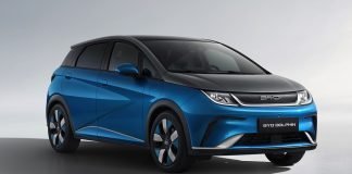 BYD Dolphin