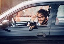 noleggio lungo termine