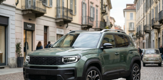fiat grizzly