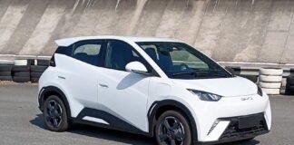 Nuova BYD Seagull