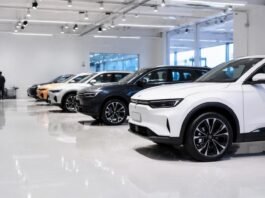 Le auto più attese in autunno 2026
